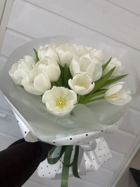 цветы антарктика