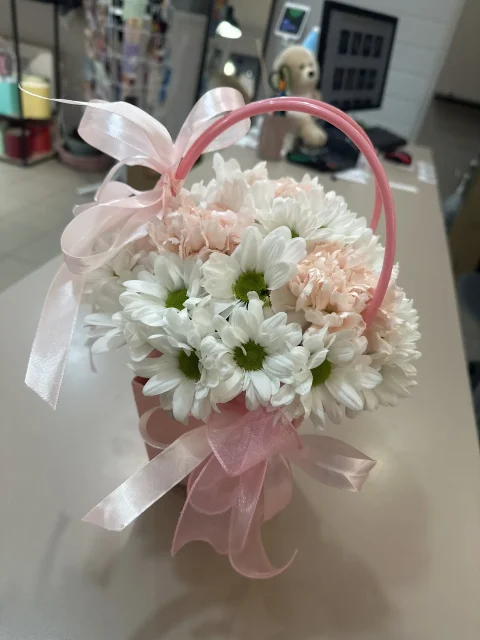 !Сокровище флоры